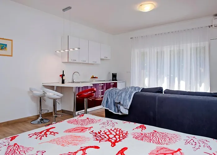 Apartmani&soba Mimi 3* Ρόβινι